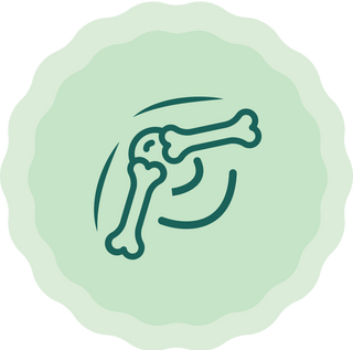 Joints, Muscles & Bones