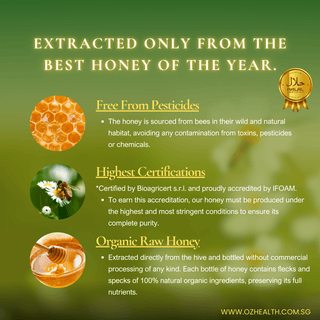 Healthy Mate Raw Organic Forest Honey, 630g