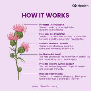 Ocean King Milk Thistle