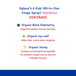 Hyland's Organic Kids All-in-One Cough Syrup Nighttime