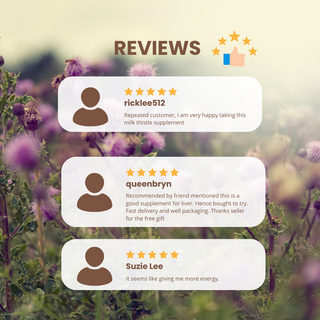 Ocean King Milk Thistle Reviews