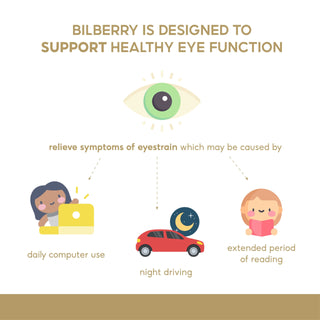Ocean King Bilberry 15000mg, benefit
