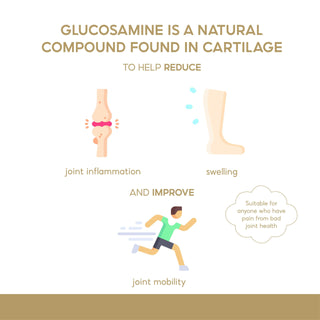 Ocean King Glucosamine Plus, benefit