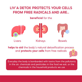Morlife Berry Clean Liv'a Detox benefit
