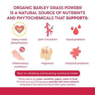 Morlife Alkalising Barley Grass Powder (Certified Organic) benefits