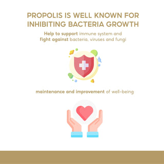 Organicer Propolis 2000mg, function