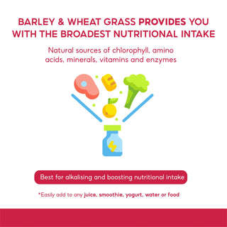Morlife Alkalising Organic Barley & Wheat Grass Powder function
