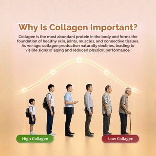 Oz Health Pure Collagen Peptides 30 Sachets