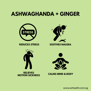 Dramamine Advanced Herbals® Nausea + Stress Support 20s - Ashwagandha & Ginger