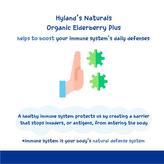 Hyland's Organic Elderberry Plus Gummies 60s