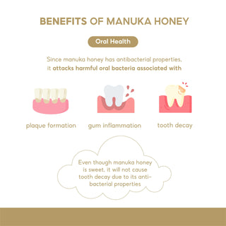 Organicer Manuka Honey 5+ UMF 1000g