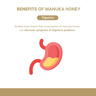 Organicer Manuka Honey 5+ UMF 1000g